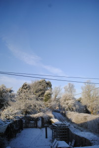 A Snowy Day in the Village