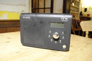 Pure One Portable Radio