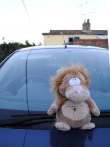 Rory's Car Lion