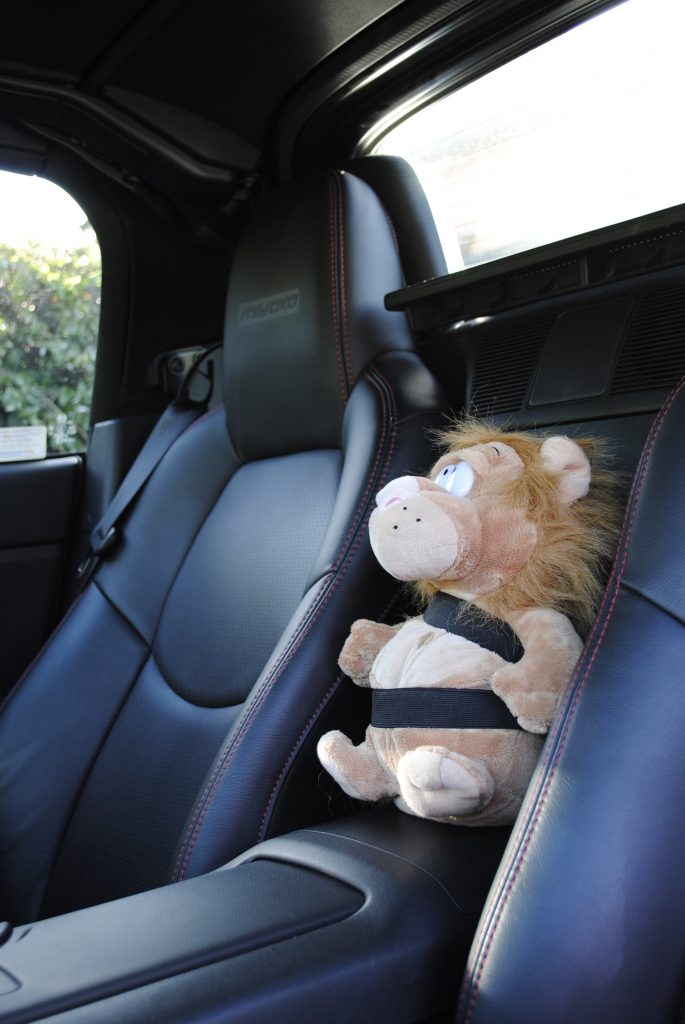 Car Lion All Strapped In