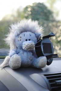 Samson Car Lion