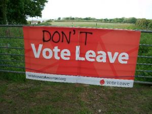 Don't Vote Leave...